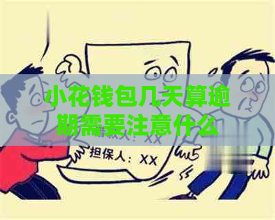 小花钱包几天算逾期需要注意什么