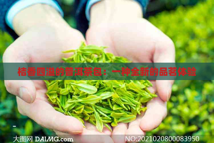 桔香四溢的普洱茶包：一种全新的品茗体验