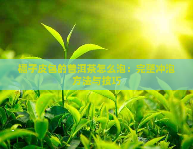 橘子皮包的普洱茶怎么泡：完整冲泡方法与技巧