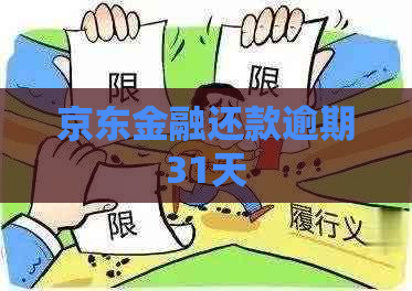 京东金融还款逾期31天