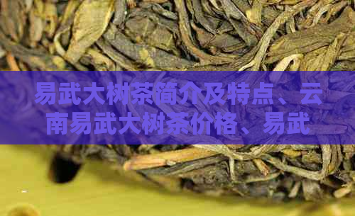 易武大树茶简介及特点、云南易武大树茶价格、易武大树熟茶