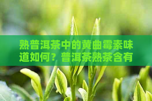 熟普洱茶中的黄曲霉素味道如何？普洱茶熟茶含有黄曲霉素吗？