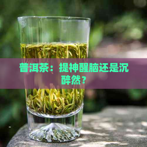 普洱茶：提神醒脑还是沉醉然？