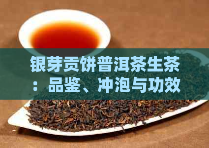 银芽贡饼普洱茶生茶：品鉴、冲泡与功效的全面解析