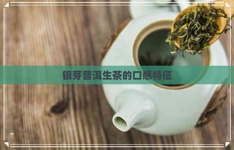 银芽普洱生茶的口感特征