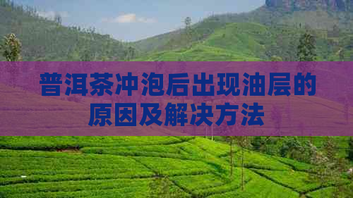 普洱茶冲泡后出现油层的原因及解决方法