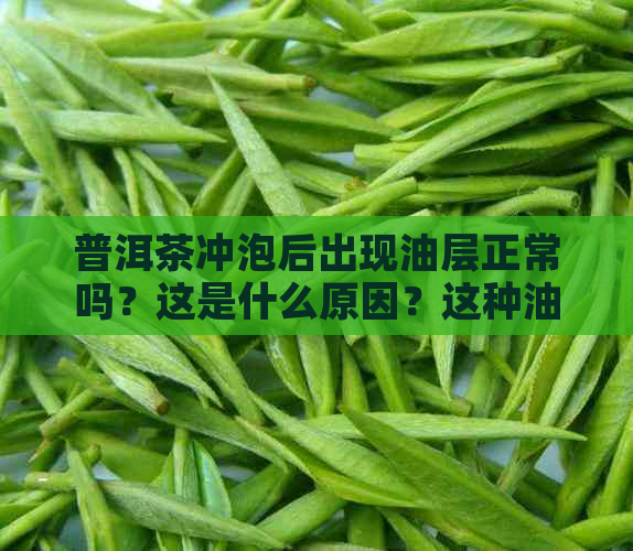 普洱茶冲泡后出现油层正常吗？这是什么原因？这种油层会影响饮用吗？