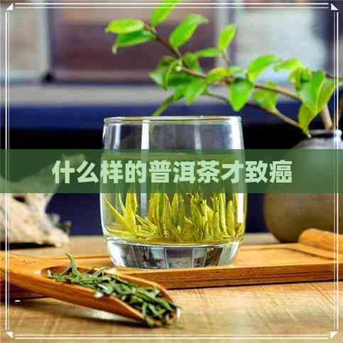 什么样的普洱茶才致癌