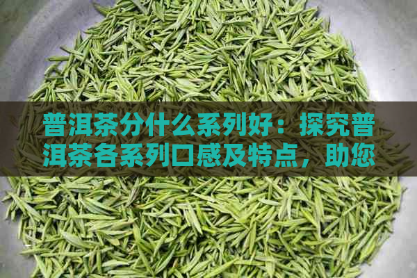 普洱茶分什么系列好：探究普洱茶各系列口感及特点，助您找到更爱的一款。