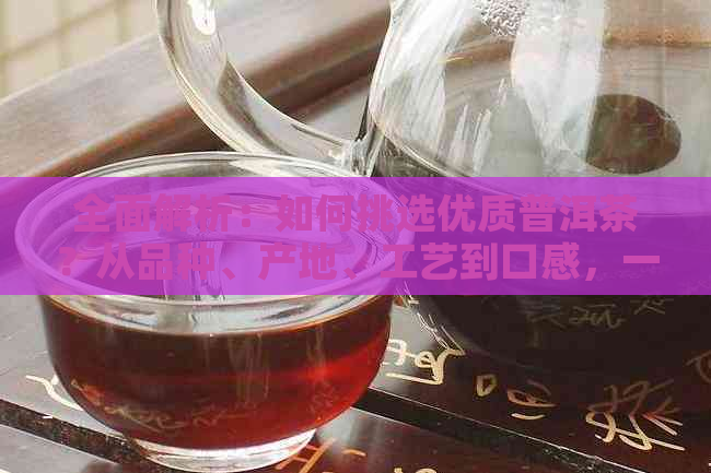 全面解析：如何挑选优质普洱茶？从品种、产地、工艺到口感，一一解答！