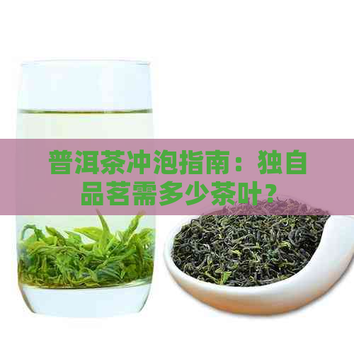 普洱茶冲泡指南：独自品茗需多少茶叶？