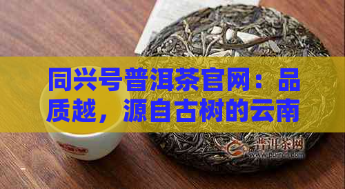 同兴号普洱茶官网：品质越，源自古树的云南普洱茶体验