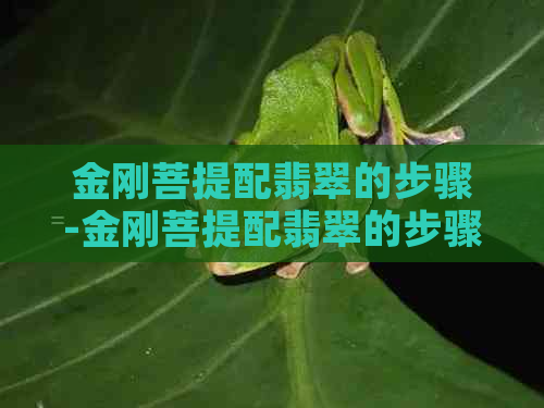 金刚菩提配翡翠的步骤-金刚菩提配翡翠的步骤图