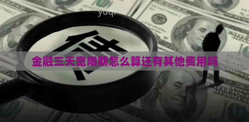 金融三天宽限期怎么算还有其他费用吗