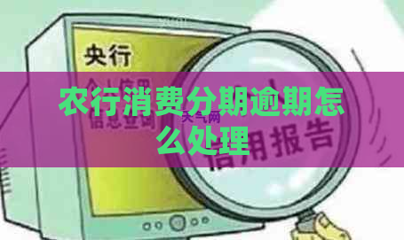 农行消费分期逾期怎么处理