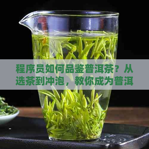 程序员如何品鉴普洱茶？从选茶到冲泡，教你成为普洱茶的专家