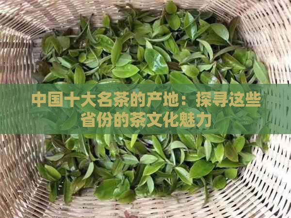 中国十大名茶的产地：探寻这些省份的茶文化魅力