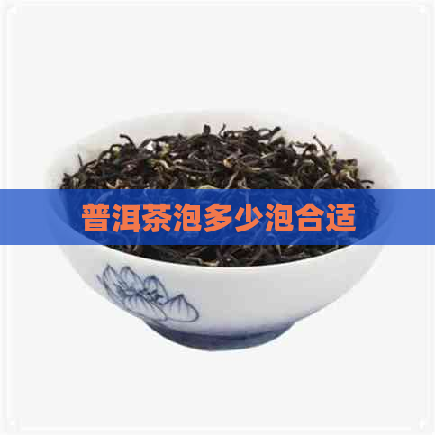 普洱茶泡多少泡合适