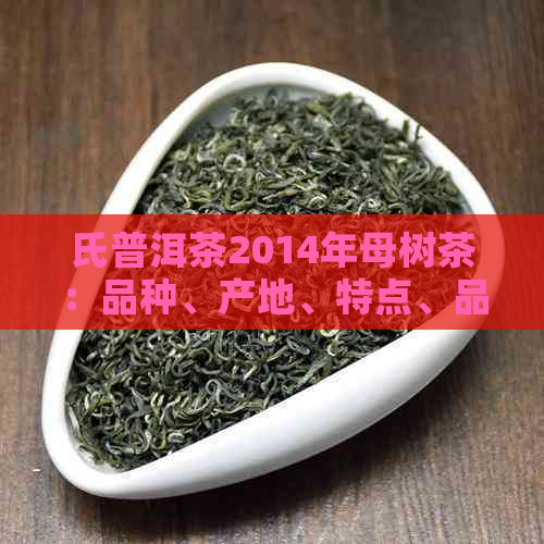 氏普洱茶2014年母树茶：品种、产地、特点、品鉴与购买指南