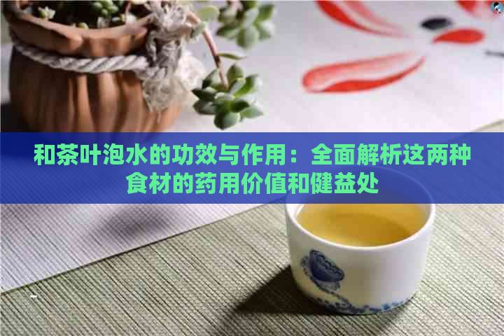 和茶叶泡水的功效与作用：全面解析这两种食材的药用价值和健益处