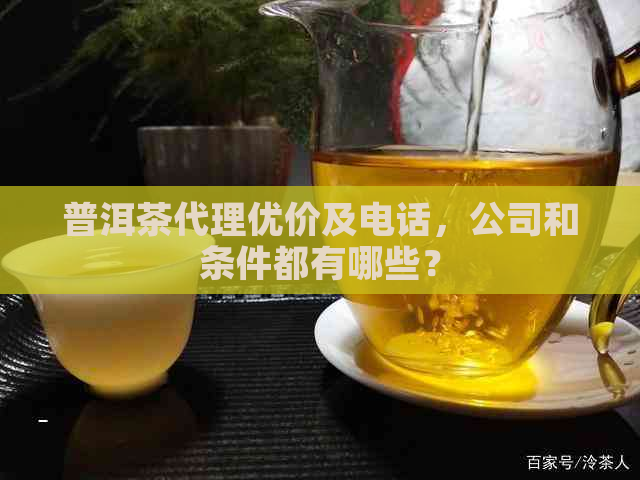 普洱茶代理优价及电话，公司和条件都有哪些？