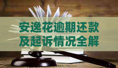 安逸花逾期还款及起诉情况全解析：已还部分金额是否影响后续诉讼？