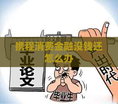 携程消费金融没钱还怎么办