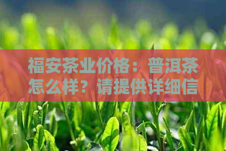 福安茶业价格：普洱茶怎么样？请提供详细信息。