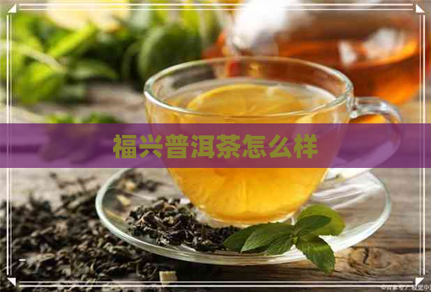 福兴普洱茶怎么样