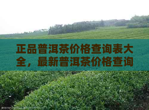 正品普洱茶价格查询表大全，最新普洱茶价格查询网站