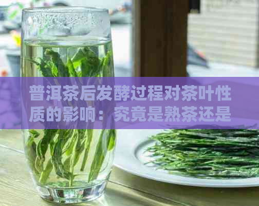 普洱茶后发酵过程对茶叶性质的影响：究竟是熟茶还是生茶？解答您的疑惑