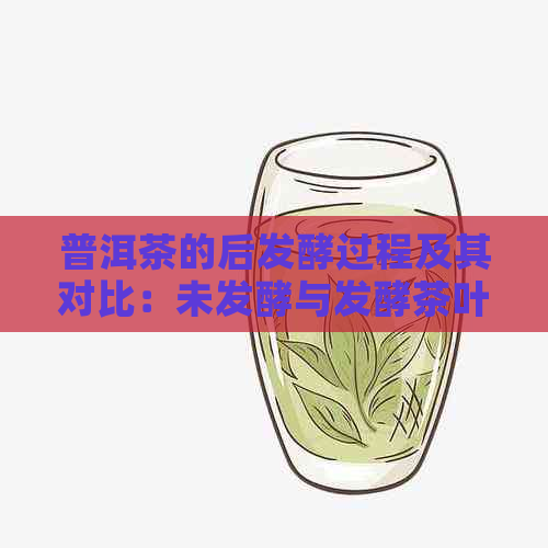 普洱茶的后发酵过程及其对比：未发酵与发酵茶叶的品质和口感分析