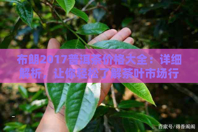 布朗2017普洱茶价格大全：详细解析，让你轻松了解茶叶市场行情