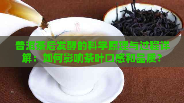 普洱茶后发酵的科学原理与过程详解：如何影响茶叶口感和品质？