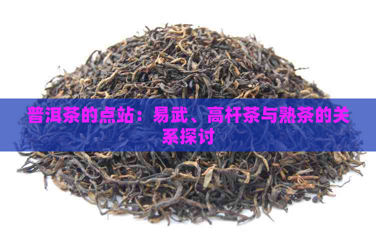 普洱茶的点站：易武、高杆茶与熟茶的关系探讨