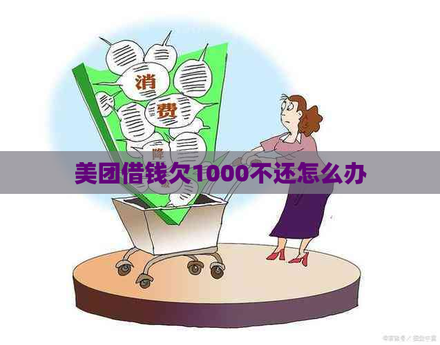 美团借钱欠1000不还怎么办