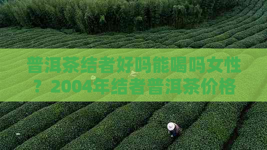 普洱茶结者好吗能喝吗女性？2004年结者普洱茶价格