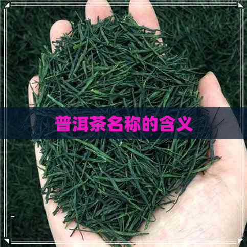 普洱茶名称的含义