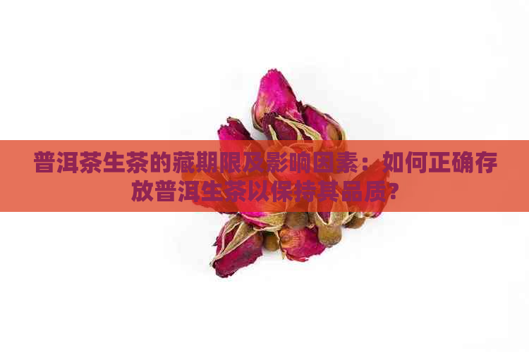 普洱茶生茶的藏期限及影响因素：如何正确存放普洱生茶以保持其品质？