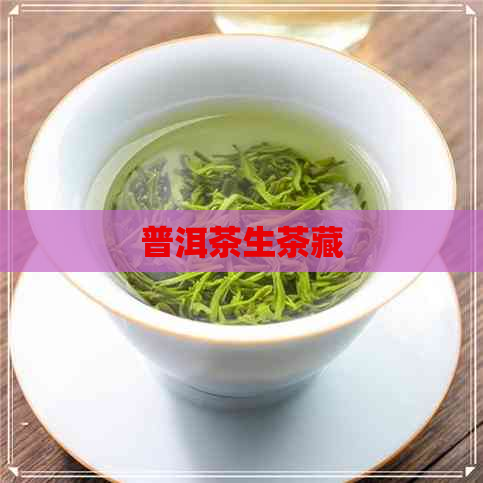 普洱茶生茶藏