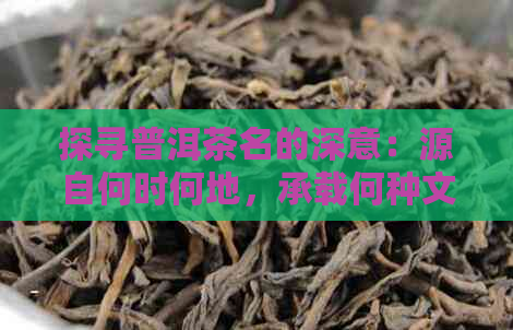 探寻普洱茶名的深意：源自何时何地，承载何种文化？