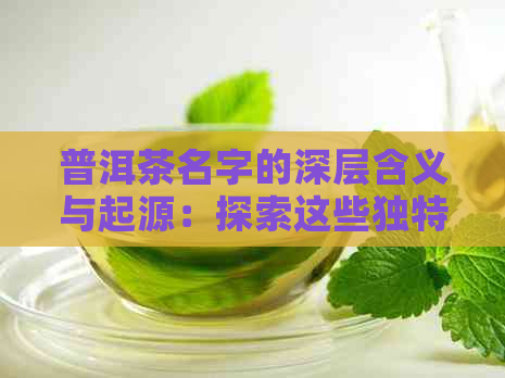 普洱茶名字的深层含义与起源：探索这些独特的茶品故事