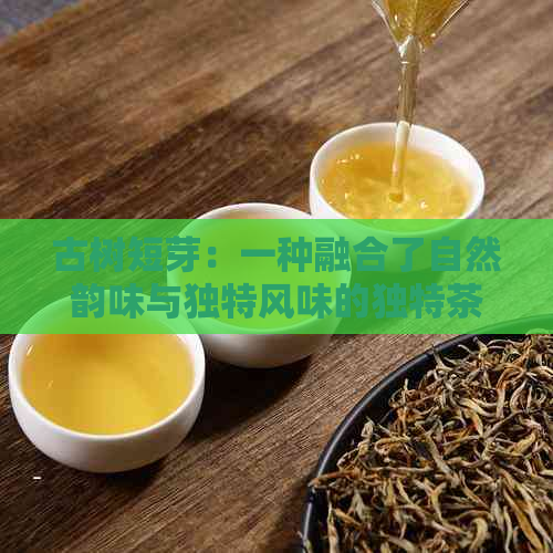 古树短芽：一种融合了自然韵味与独特风味的独特茶饮探索