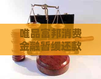 唯品富邦消费金融暂缓还款流程及条件详解