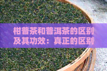 柑普茶和普洱茶的区别及其功效：真正的区别与作用解析