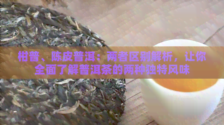 柑普、陈皮普洱：两者区别解析，让你全面了解普洱茶的两种独特风味