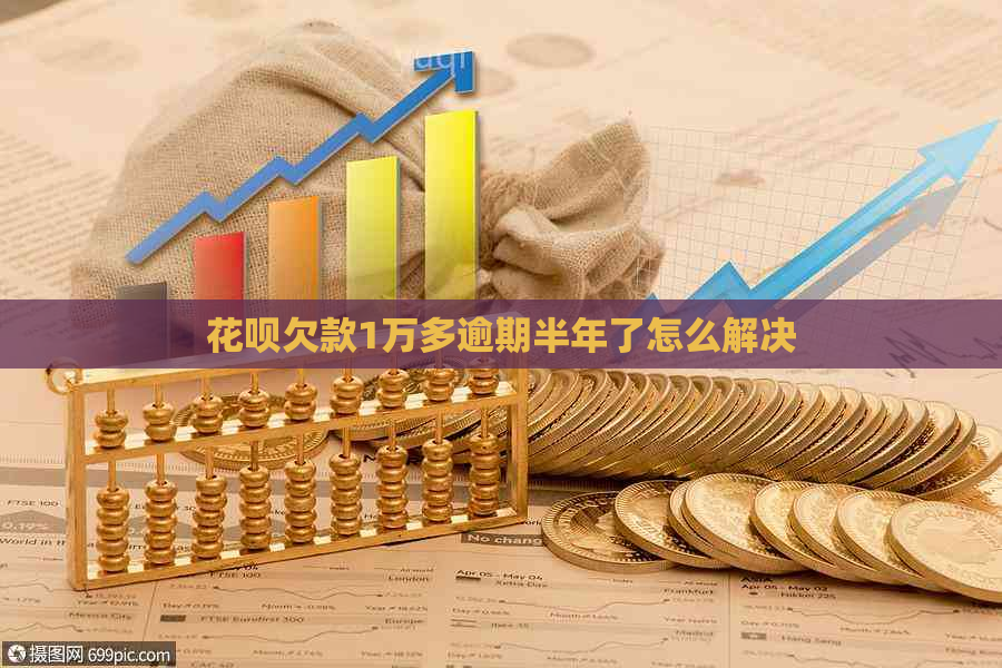 花呗欠款1万多逾期半年了怎么解决