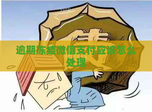 逾期冻结微信支付应该怎么处理