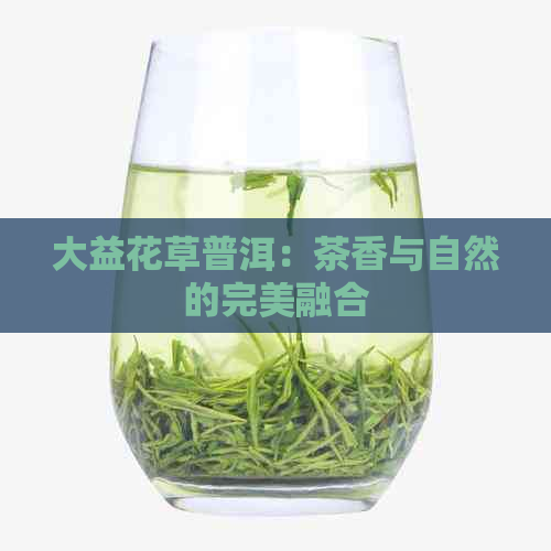 大益花草普洱：茶香与自然的完美融合