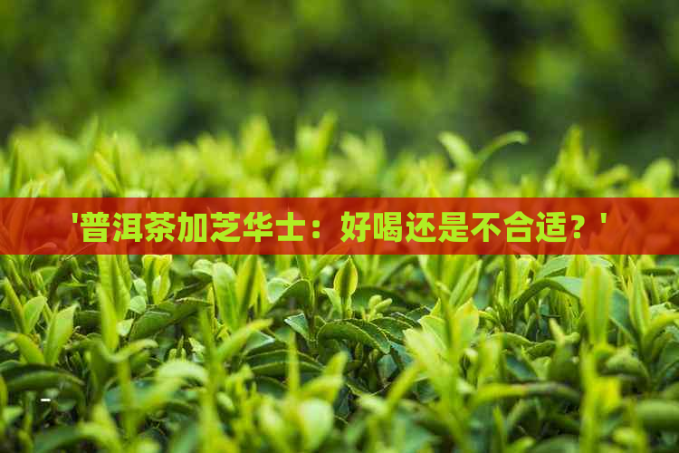 '普洱茶加芝华士：好喝还是不合适？'